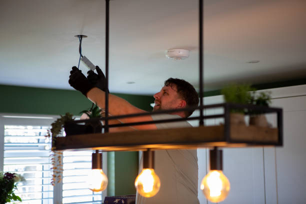 Best Electrical Troubleshooting Services  in Springfield, MI