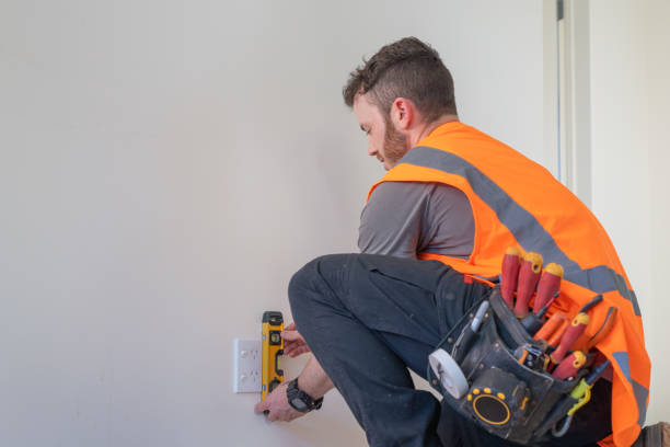 Best Electrical Repair Services  in Springfield, MI